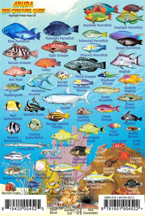 Aruba Mini Fish Card – Franko Maps