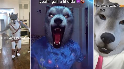 Alpha Werewolf Transformation (TikTok Filter) | GotFunnyPictures