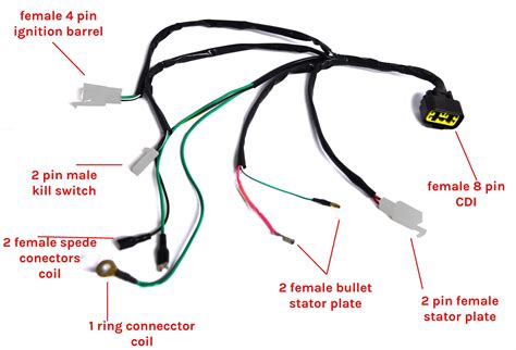 Craftism: Ssr 110 Pit Bike Wiring Diagram