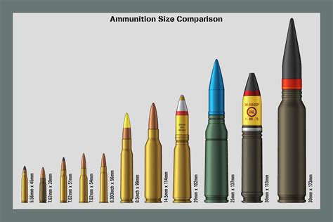 Ammunition Size Comparison | Armas táticas, Munições, Armas