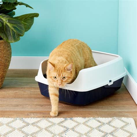 Frisco Open Top Cat Litter Box With Rim, Navy, Large 19-in - Chewy.com