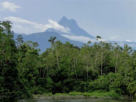 São Gabriel da Cachoeira (Amazonas) Brasile | ... Gabriel da Cachoeira ...