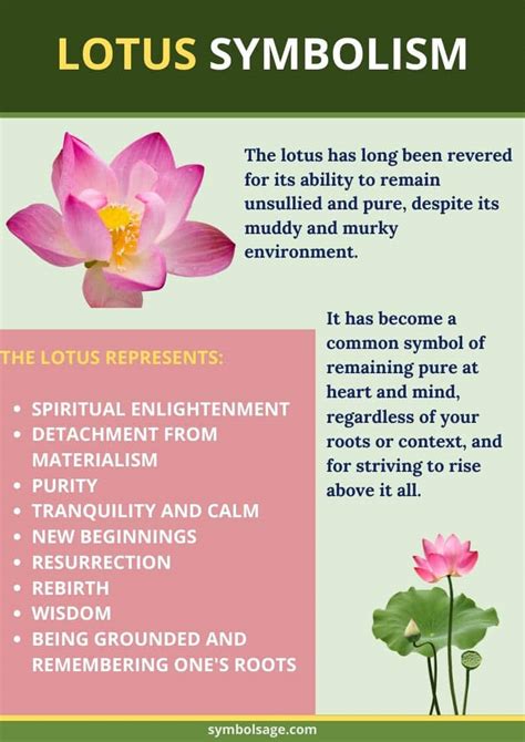 Lotus Flower Meaning: Purity, Enlightenment, and Resilience