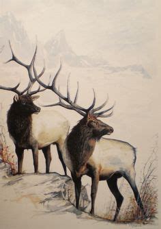 Elk Watercolor Paintings at GetDrawings | Free download