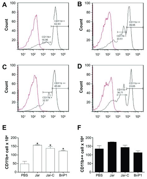 Expression of CD11b on the surface of leukocytes present in the ...