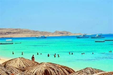 many people are on the beach and in the water near some thatched umbrellas