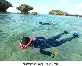 2,933 Okinawa Snorkeling Images, Stock Photos, 3D objects, & Vectors ...