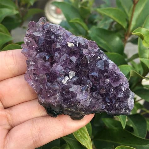 60 70g Natural Dream Amethyst Quartz Crystal Cluster Specimen Healing ...