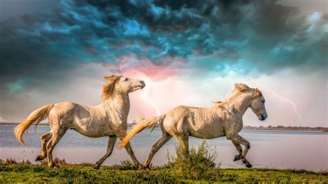 Download Lightning Animal Horse 4k Ultra HD Wallpaper