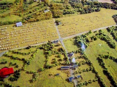 The Alignments of Carnac | Mysterious places, Stone, Standing stone