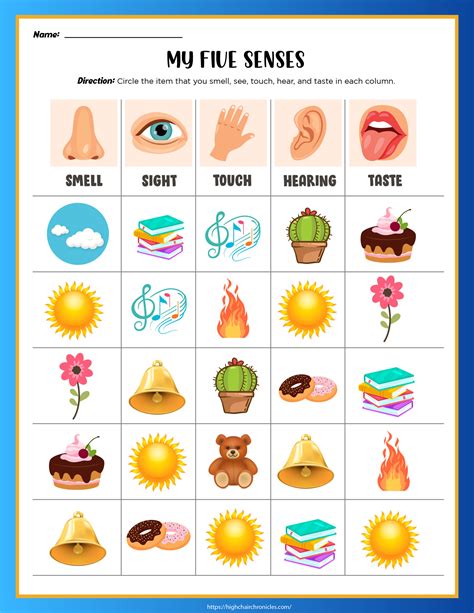 The 5 Senses Worksheets - Free Printable Worksheet