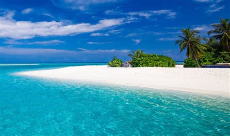 Beaches in Zanzibar | zanzibar beaches | beaches of zanzibar