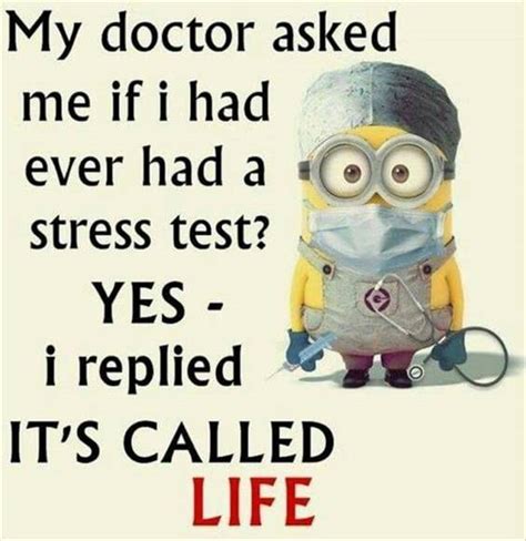 38 Great Funny Minion Quotes - Dreams Quote