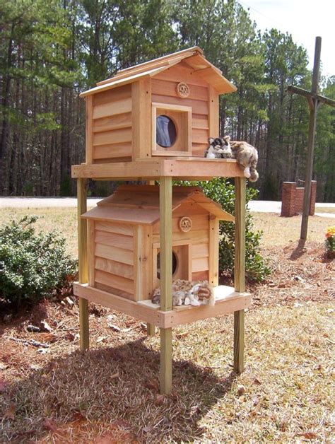 52+ DIY Outdoor Cat House Ideas For Winters And Summer | Insulated cat ...