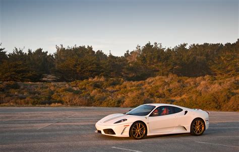 Wallpaper white, the sky, grass, trees, shadow, white, ferrari, Ferrari ...