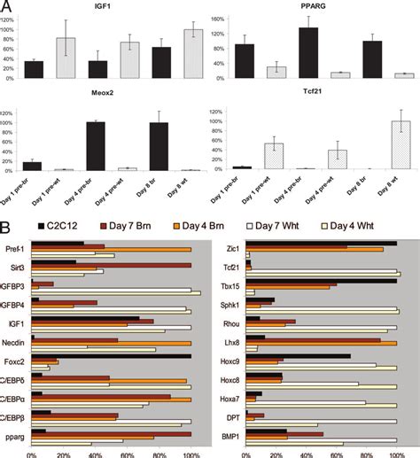 Expression of established and novel adipocyte marker genes in brown ...