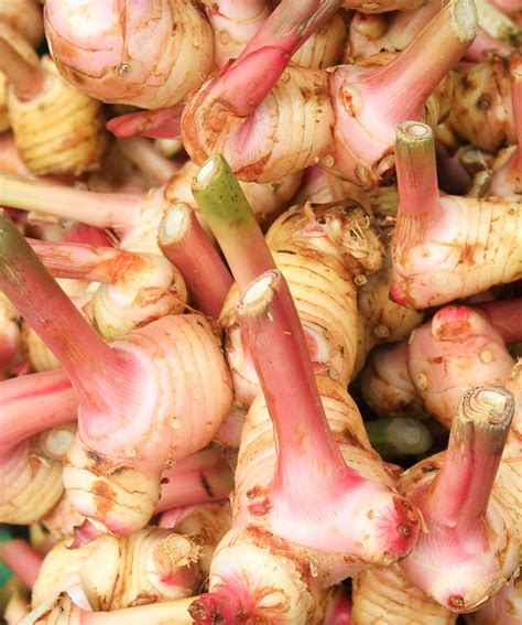 Ingredient: Galangal root @recipeland