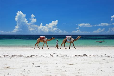 10 Best Beaches in Kenya – Touropia Travel