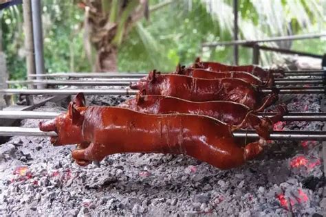 Best Lechon In Cebu: Top 12 Restaurants To Taste “ The Best Pig Ever ...