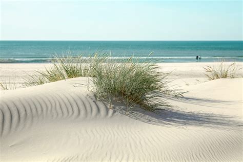 Beach Sand Dunes Gentle Dune - Free photo on Pixabay - Pixabay