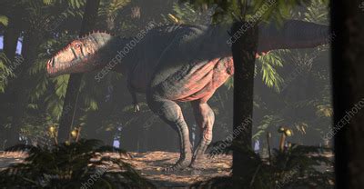 Artwork of the dinosaur Meraxes gigas - Stock Image - F036/5370 ...