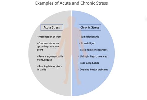 Mercer Island Psychology | Stress Management Strategies