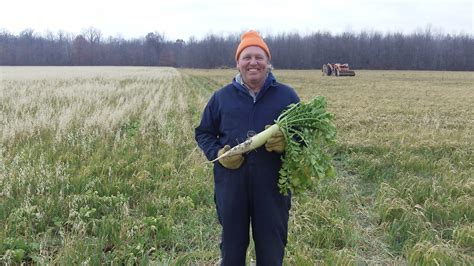 Cover Crop Radishes...be a good neighbor! - Plant Cover Crops