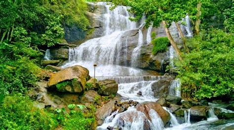 Areekkal Waterfalls, Kochi (2024) - Images, Timings | Holidify