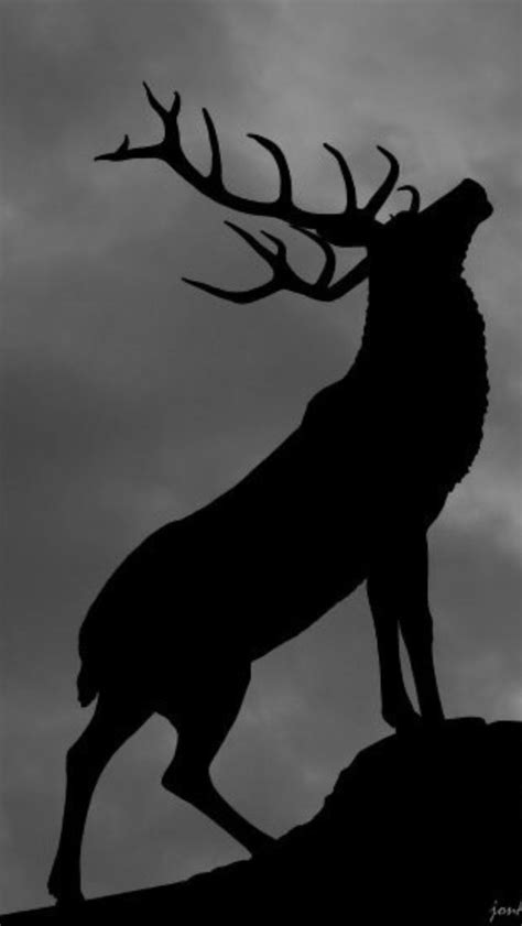 Pin by Keenan White on 12 | Animal silhouette, Deer silhouette ...