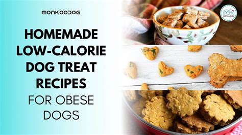 Low Calorie Dog Treats For Obese Dogs - Monkoodog