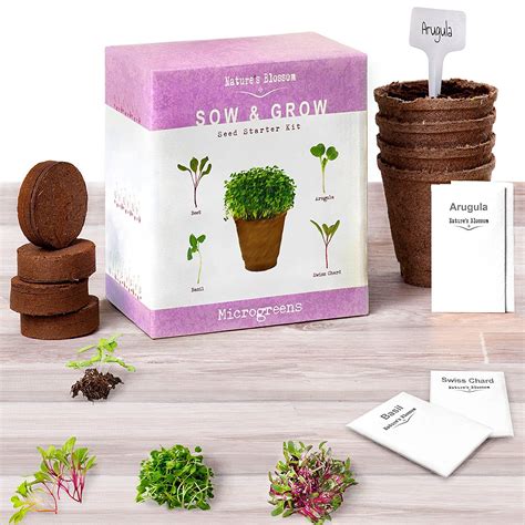 Microgreens Kit - Grow 4 Types Of Micro Greens From Seed | Microgreens ...