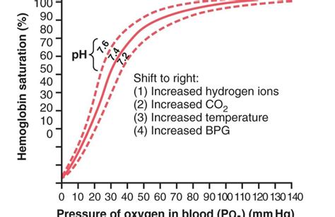 Oxygen hemoglobin dissociation curve - All Medical Stuff