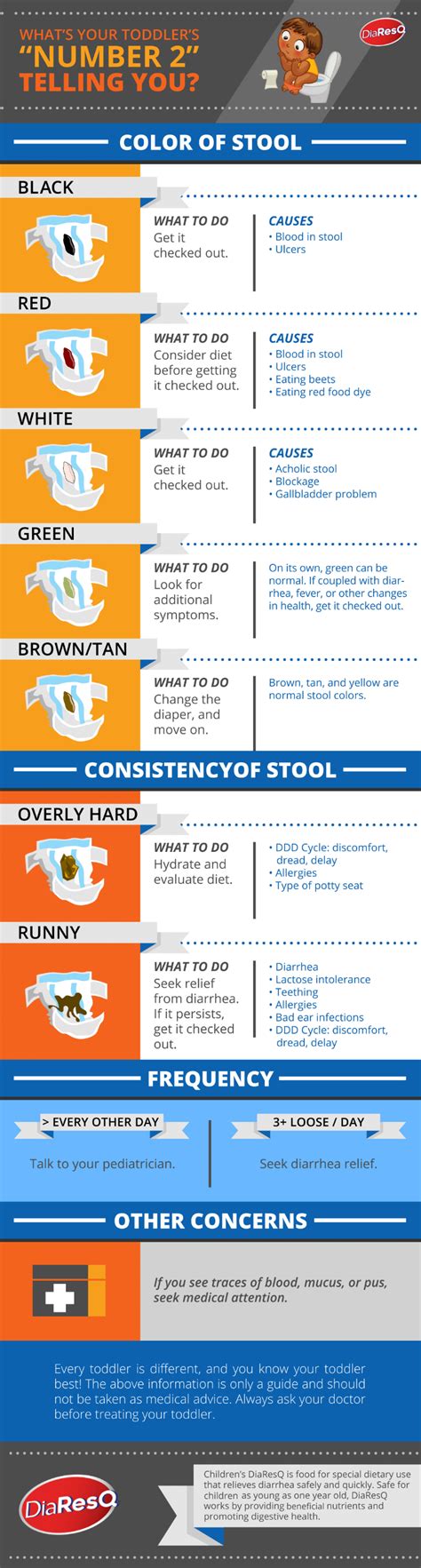 1 Year Old Poop Chart