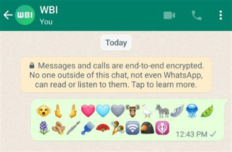 6 changes coming to WhatsApp – including new emojis | Economy24