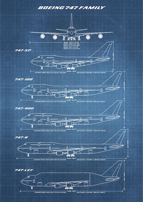 Boeing 747 Family Blueprint - light blue Drawing by Ryan Steven ...