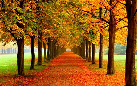 Paisajes de otoño | Descargar imágenes gratis