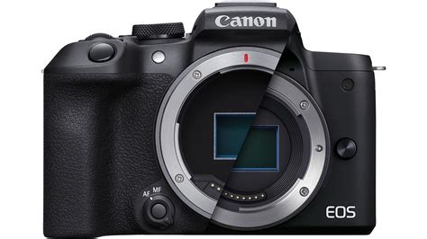 Canon reported to announce EOS R8, EOS R50 bodies and two new lenses in ...