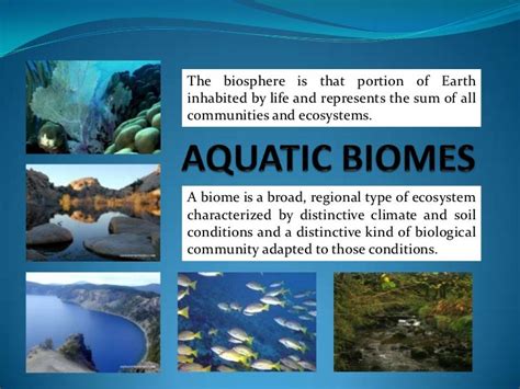 Aquatic biomes