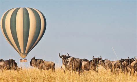 4 Days Maasai Mara Wildlife and Hot Air Balloon Safari | Kenya Wildlife