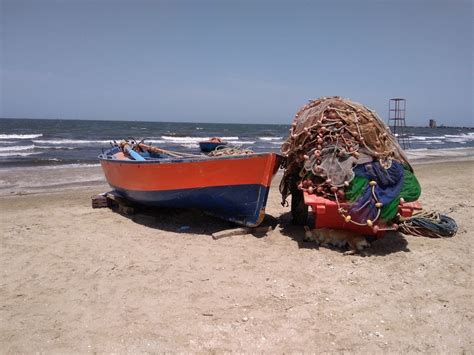 Port-Said Beach | Port said, Port, Beach