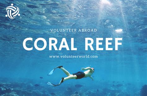 Coral Reef Conservation 🐠 | Restoration Projects 2021 | Volunteer World