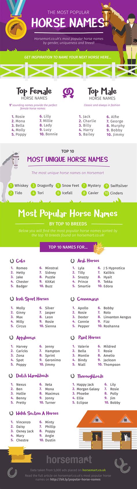 Find The Perfect Horse Name by Team Horsemart | Horsemart