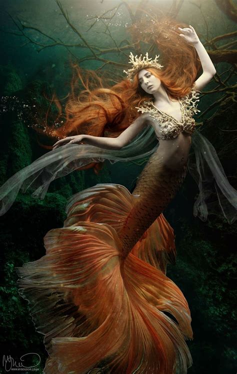 Pin by Erin Freiboth on mermaid | Mermaid artwork, Mermaid art, Mermaid ...