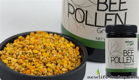 Bee Pollen Granules | Newlife Today, Malaysia