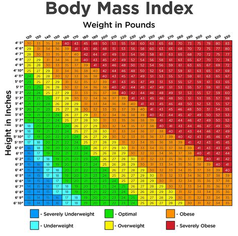 Bmi Chart For Women - Gallery Of Chart 2019 786