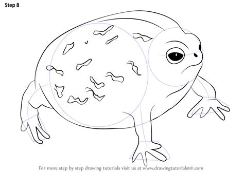 How to Draw a Desert Rain Frog (Amphibians) Step by Step ...