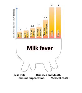 Milk fever – PerformaNat – Feeding Science