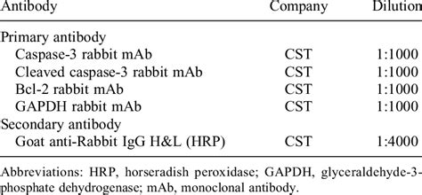 Antibodies Used in Western Blot. | Download Scientific Diagram