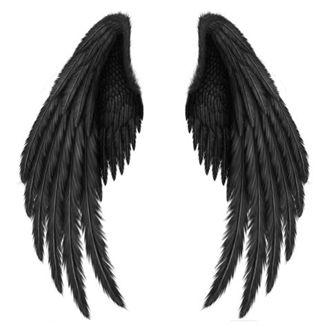 Transparent Black Wings PNG Clipart Picture | Artistically and ...