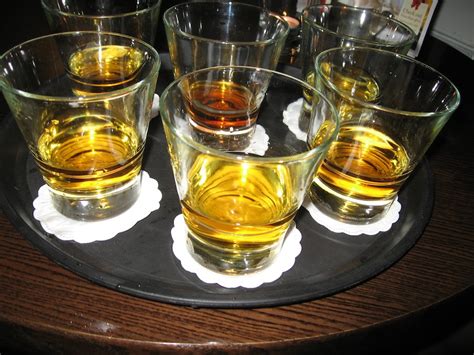 MY WILD IRISH WHISKEY TASTING | Sweet Leisure